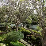 Szálloda Azoris Angra Garden - Plaza 4*