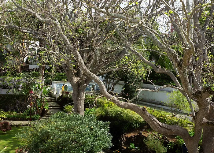 Hotel Azoris Angra Garden – Plaza 4*